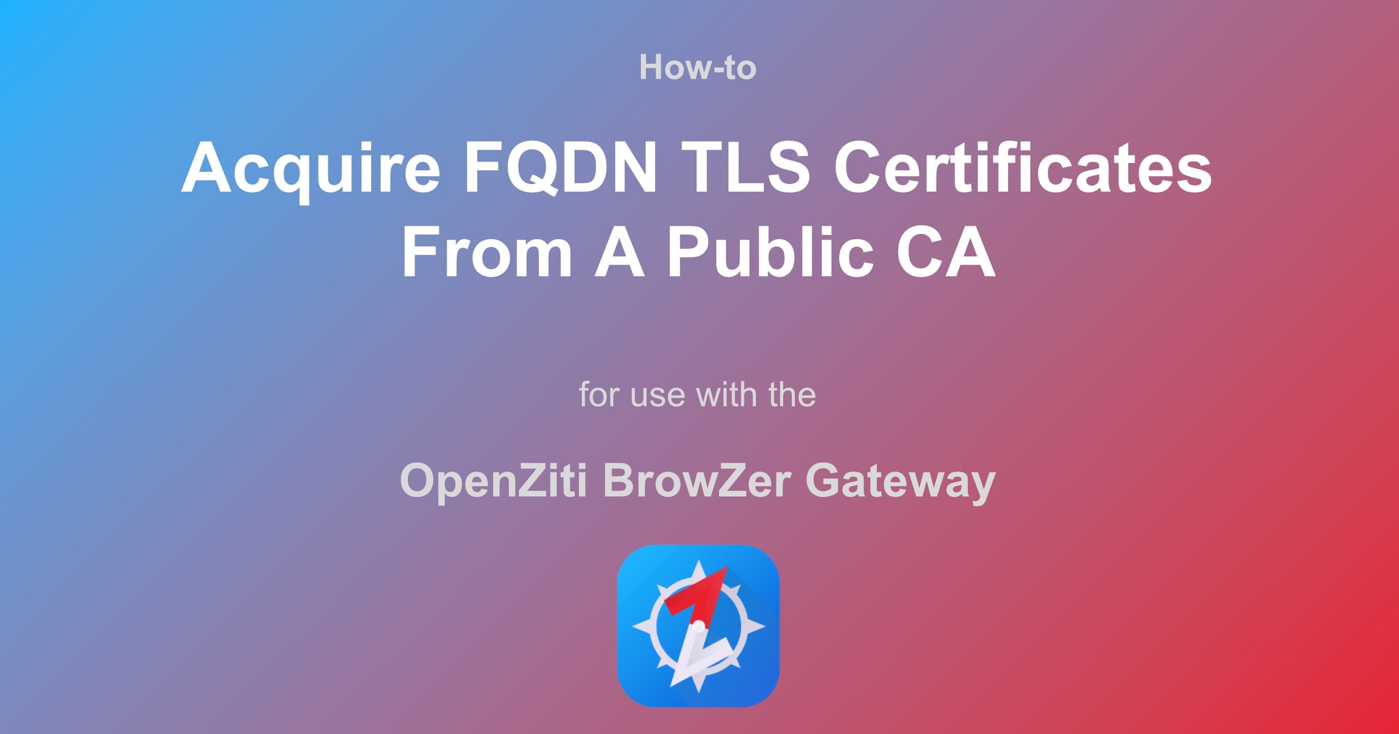 OpenZiti BrowZer Gateway