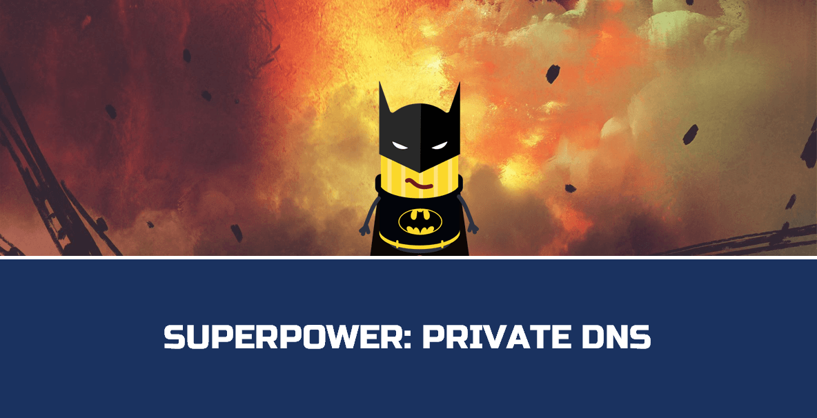 Private DNS on Windows