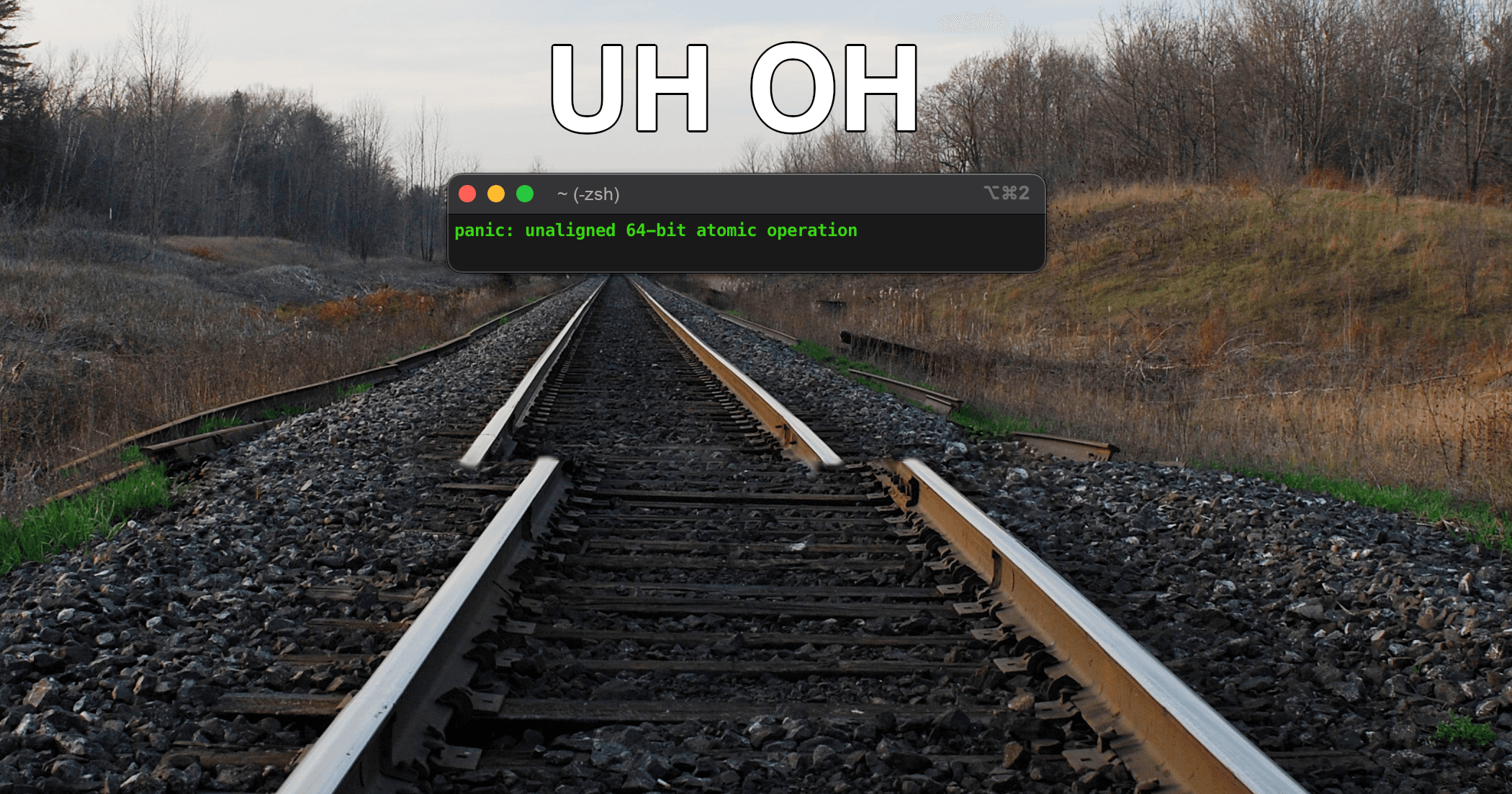 My Pi Day Journey with Go 64-bit alignment