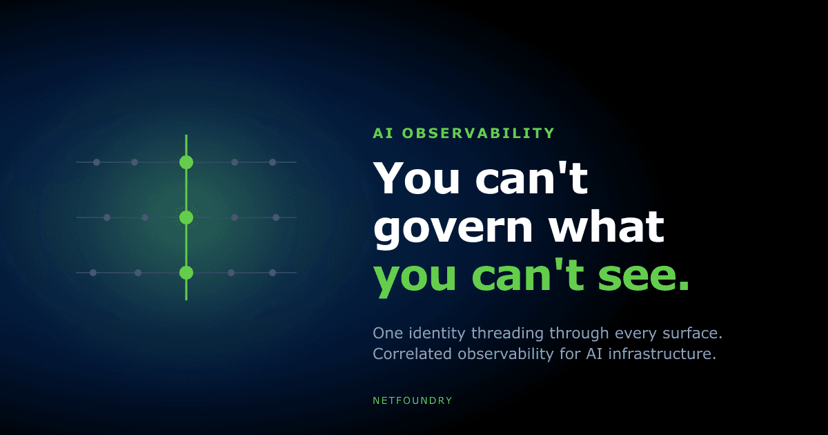 You Can't Govern What You Can't See